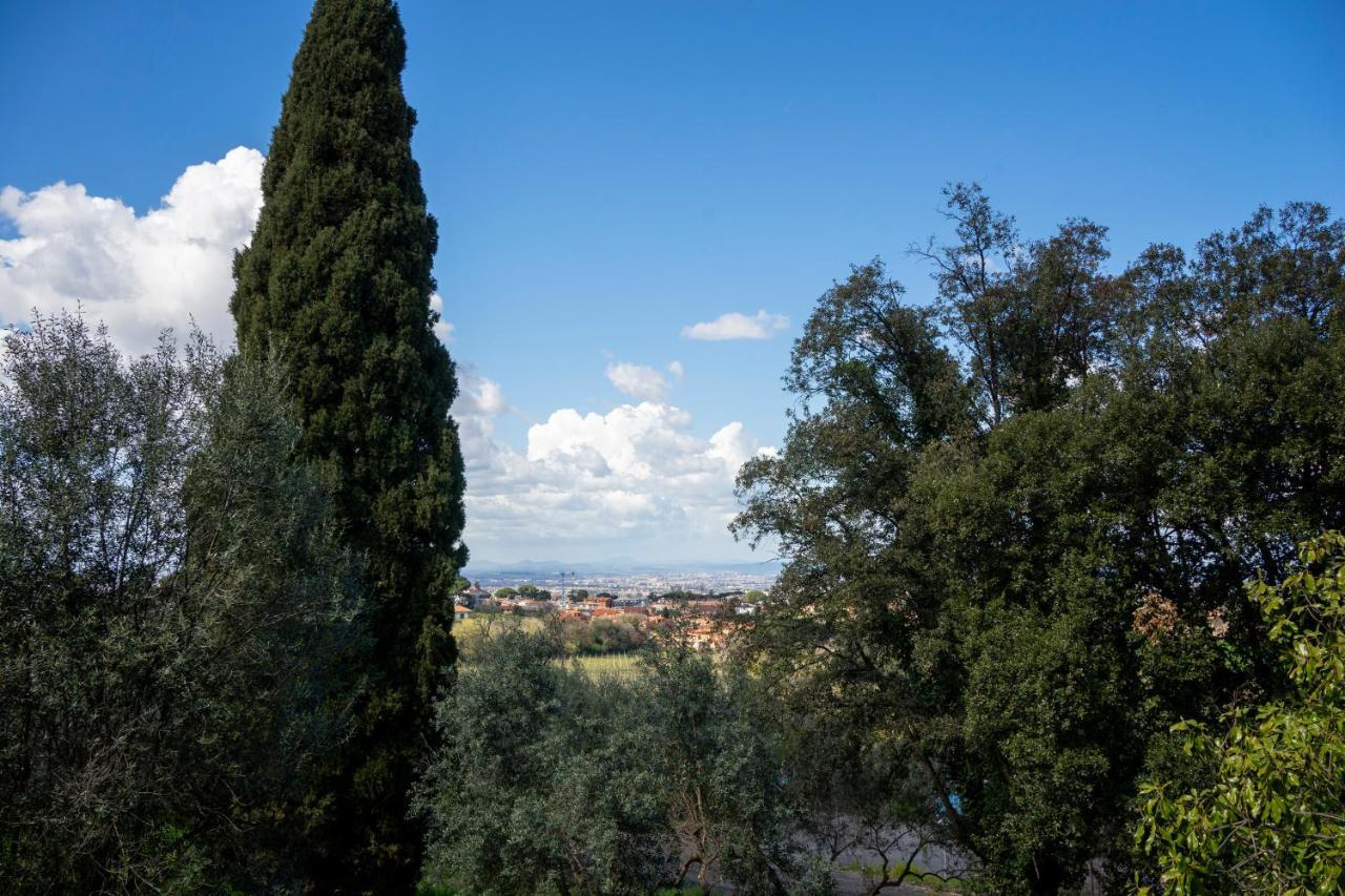 Al Borgo - Tenuta Borsari Frascati Esterno foto