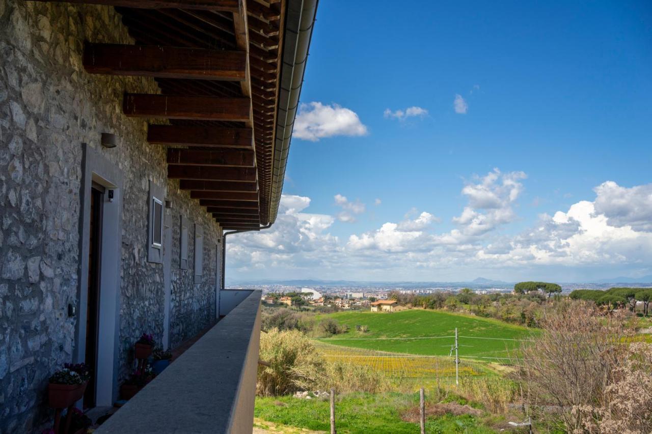 Al Borgo - Tenuta Borsari Frascati Esterno foto